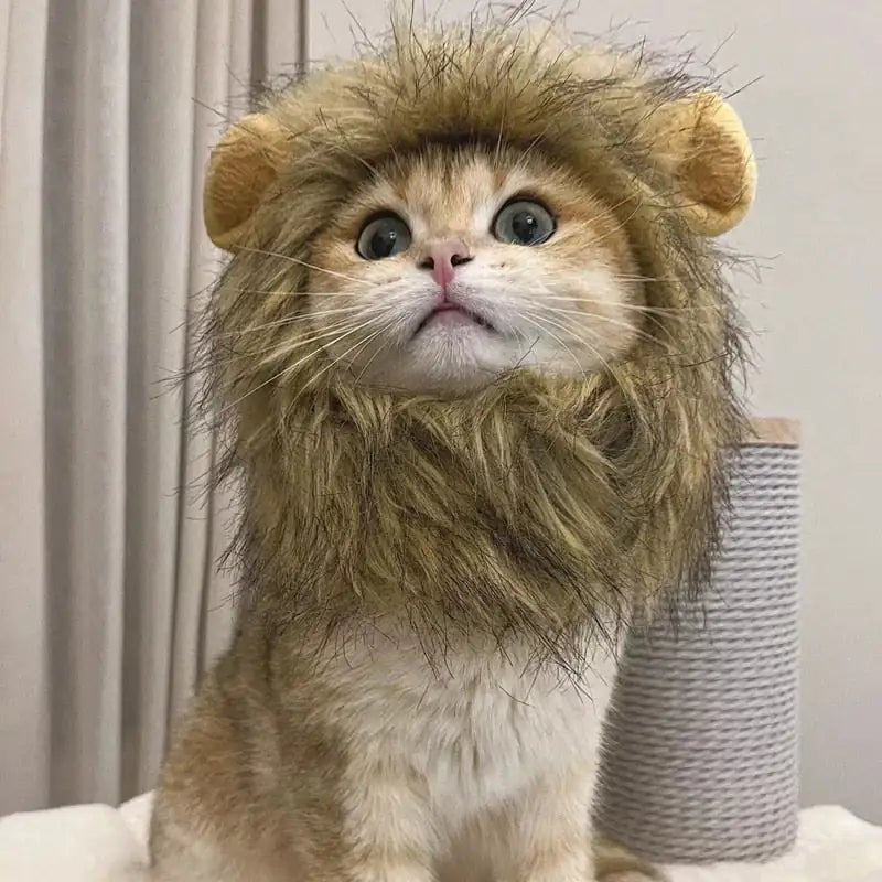 Majestic Lion Mane for Cats