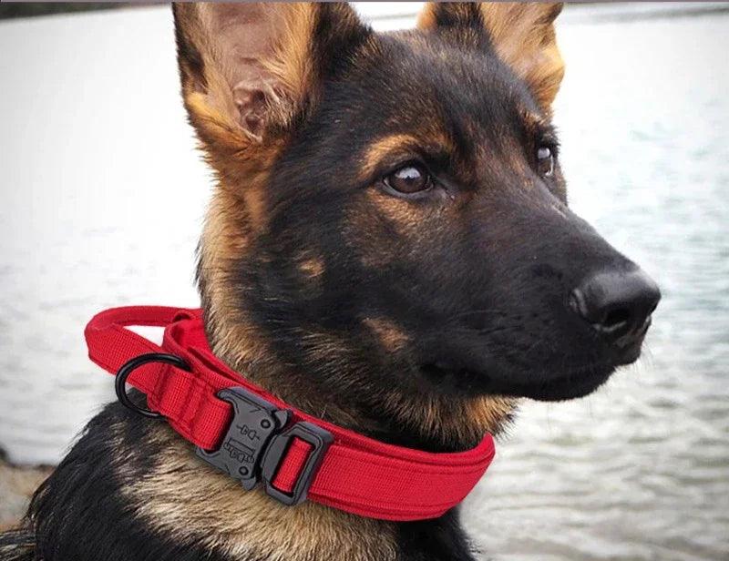 Tactical Dog Collar/Leash